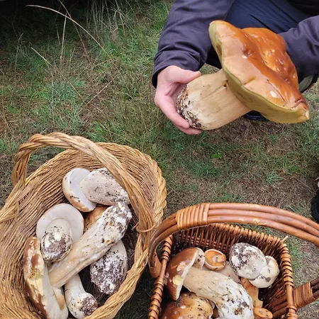 Refugio Del Canon Dom wakacyjny