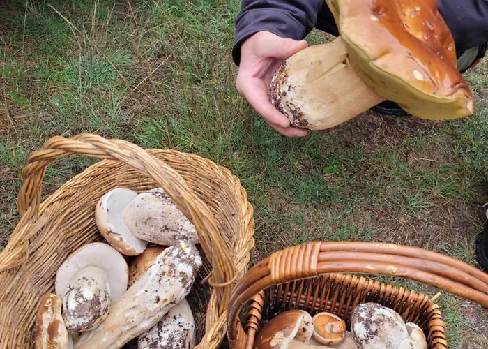 Refugio Del Canon Prázdninový dům